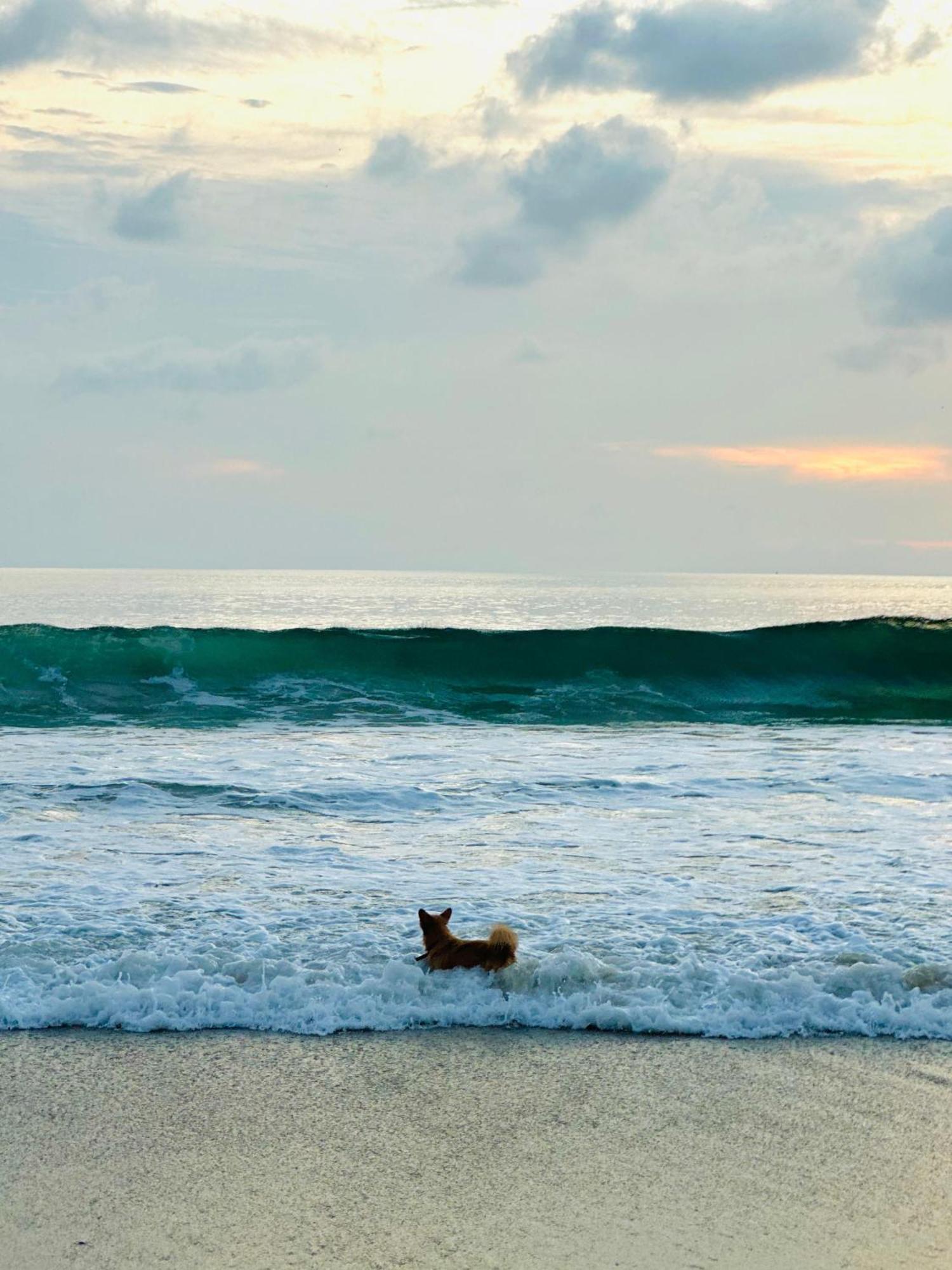 Liv Inn Iyra - Boutique Stay Varkala Luaran gambar